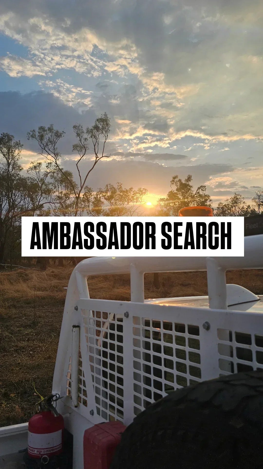 Ambassador search